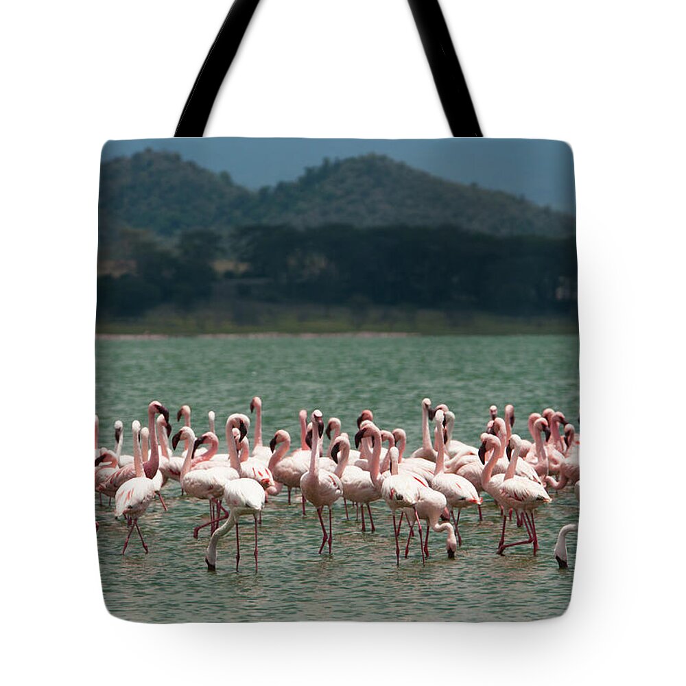 Tranquility Tote Bag featuring the photograph Lesser Flamingos, Lake Narasha, Kenya by Mint Images/ Art Wolfe