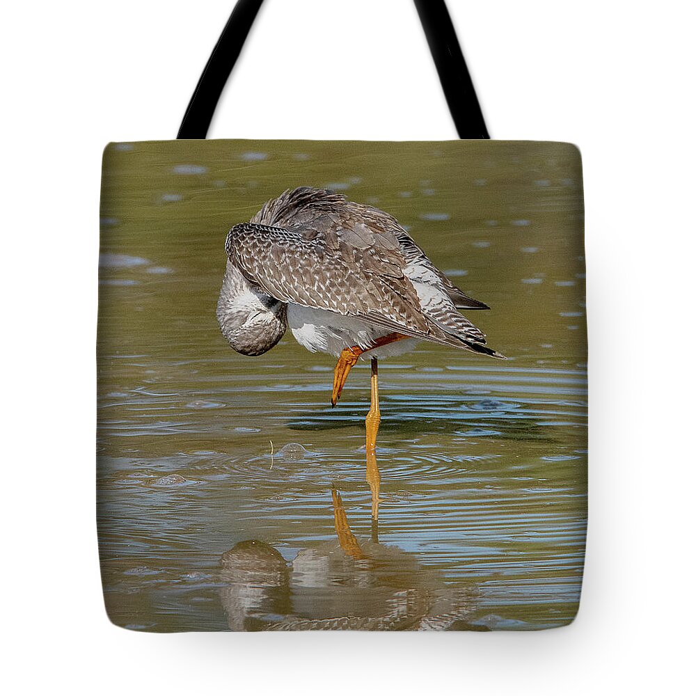 Nature Tote Bag featuring the photograph Lesser Yellowlegs Sandpiper DMSB0200 by Gerry Gantt