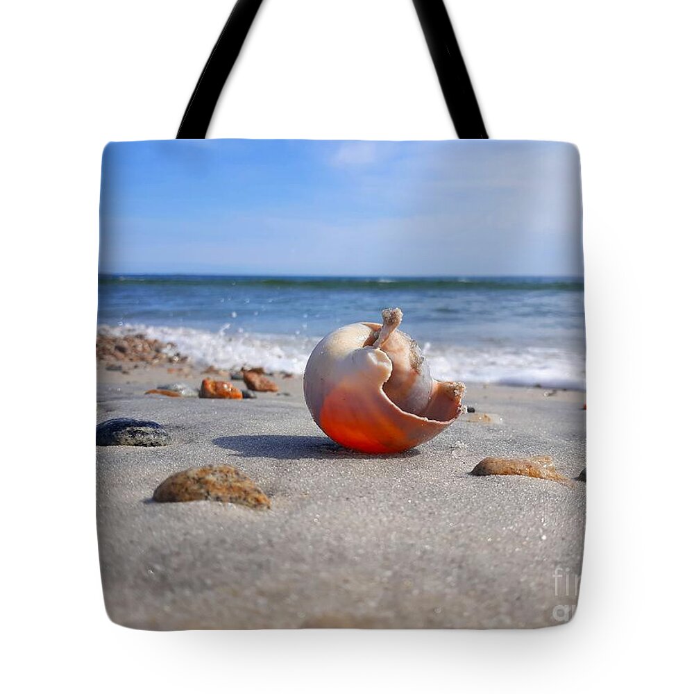 Shell Tote Bag featuring the photograph Let The Sunshine In/ Inner Peace by Dani McEvoy