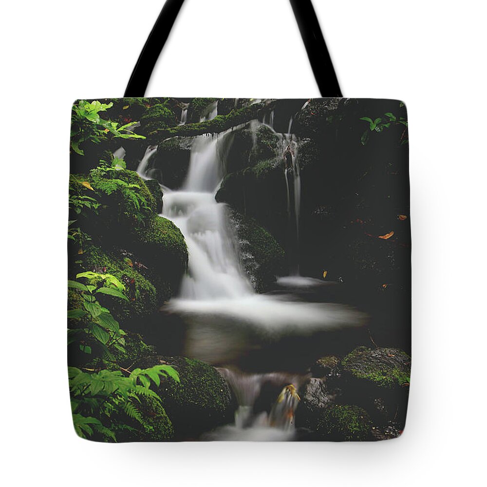 Oahu Tote Bag featuring the photograph Let Your Heart Decide by Laurie Search