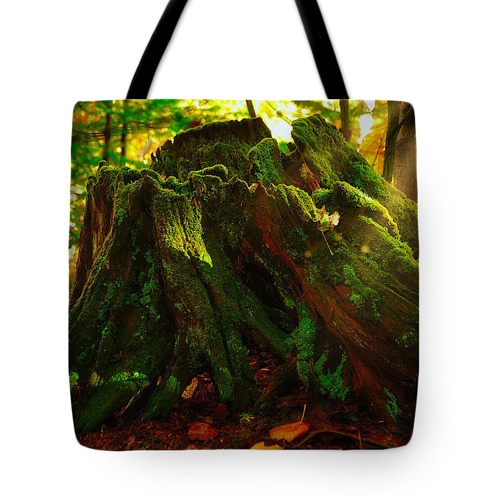 Photograph Tote Bag featuring the photograph Life from Death by Richard Gehlbach