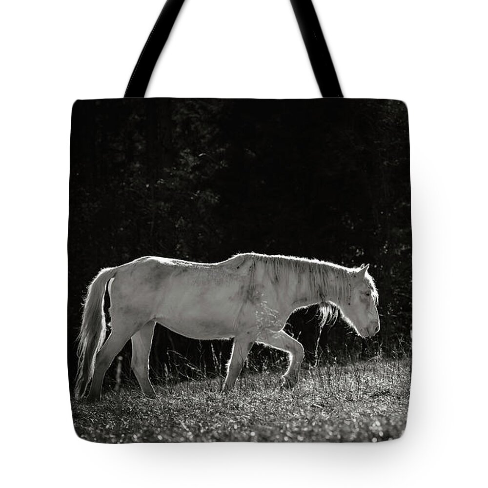 Horse Tote Bag featuring the photograph Life is an Uphill Battle by Holly Ross