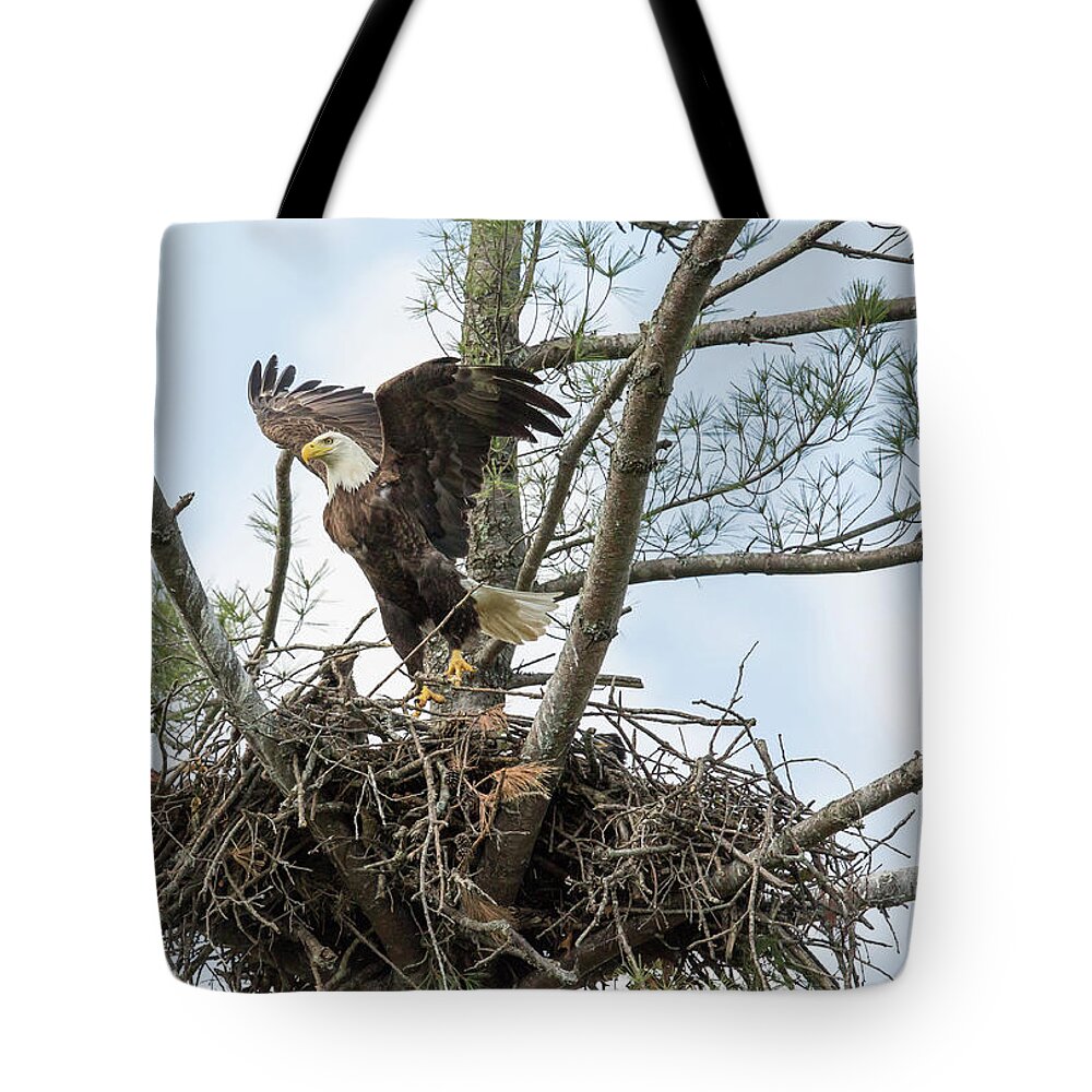  Tote Bag featuring the photograph Lift Off by Doug McPherson