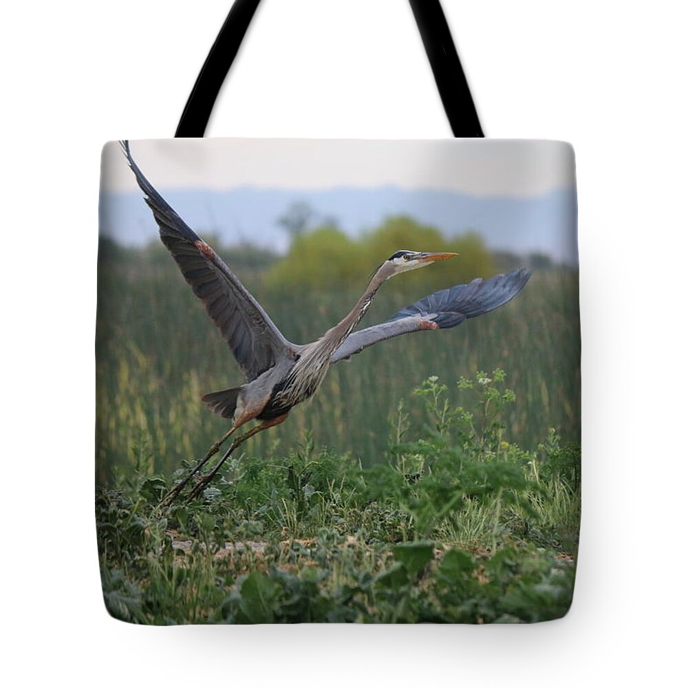 Great Tote Bag featuring the photograph Lifting Off by Christy Pooschke