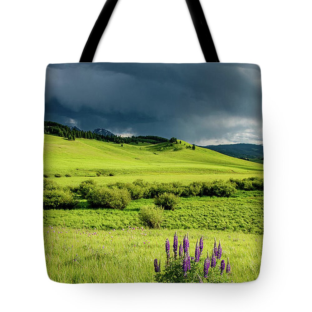 Montana Tote Bag featuring the photograph Light and Landscape in Big Sky Country by Marcy Wielfaert