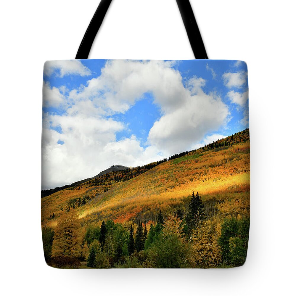 Red Mountain Pass Tote Bag featuring the photograph Light Breaks Through onto Fall Colors by Ray Mathis