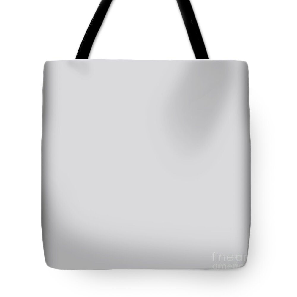Gray Tote Bag featuring the digital art Light Gray Grey by Delynn Addams for Interior Home Decor by Delynn Addams