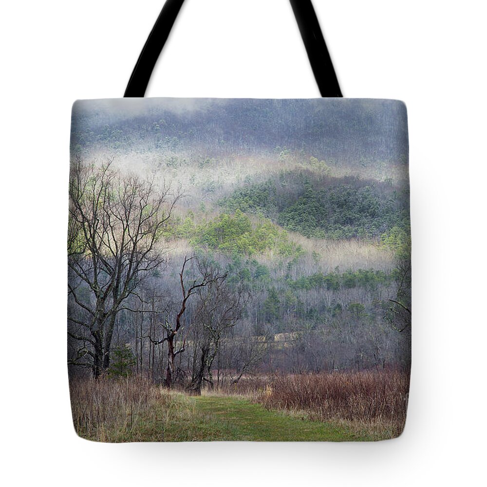Smoky Mountains Tote Bag featuring the photograph Light Mountain Snow by Mike Eingle