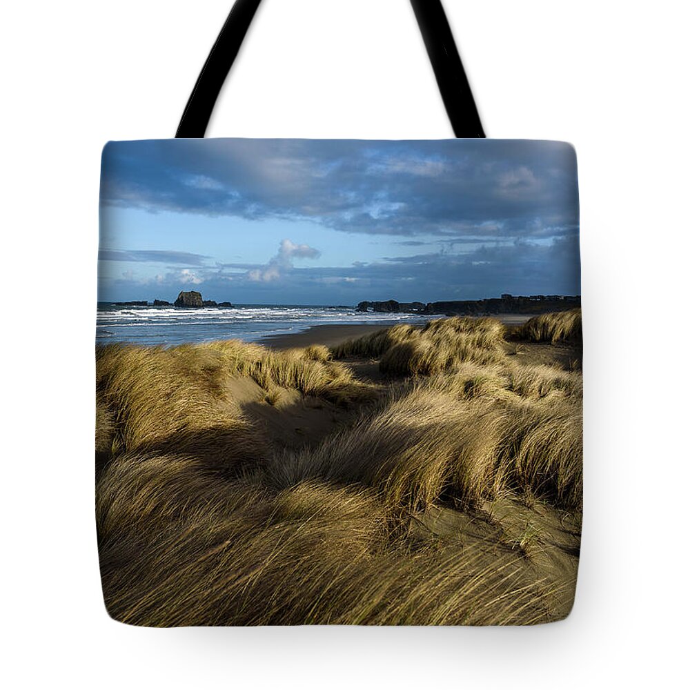Bandon Tote Bag featuring the photograph Light on the Beach Grass by Robert Potts