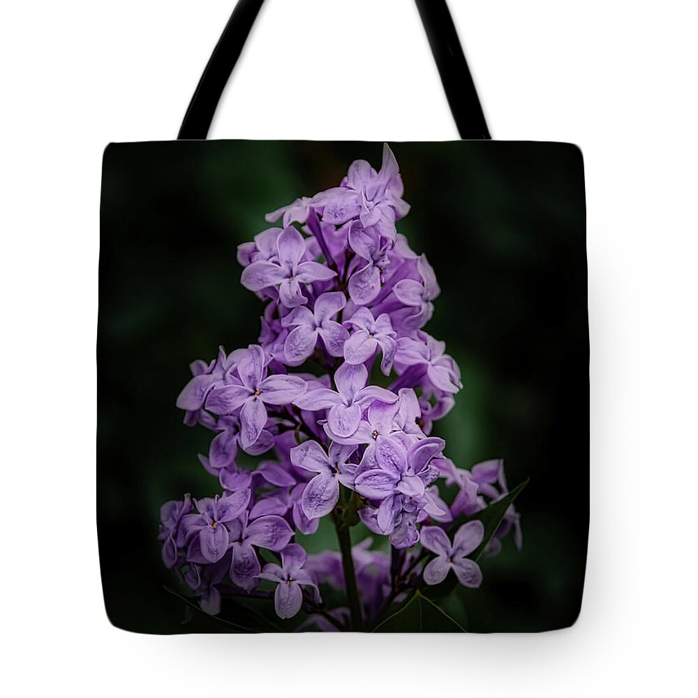 Lilac Tote Bag featuring the photograph Lilacs for Annie by Ernest Echols