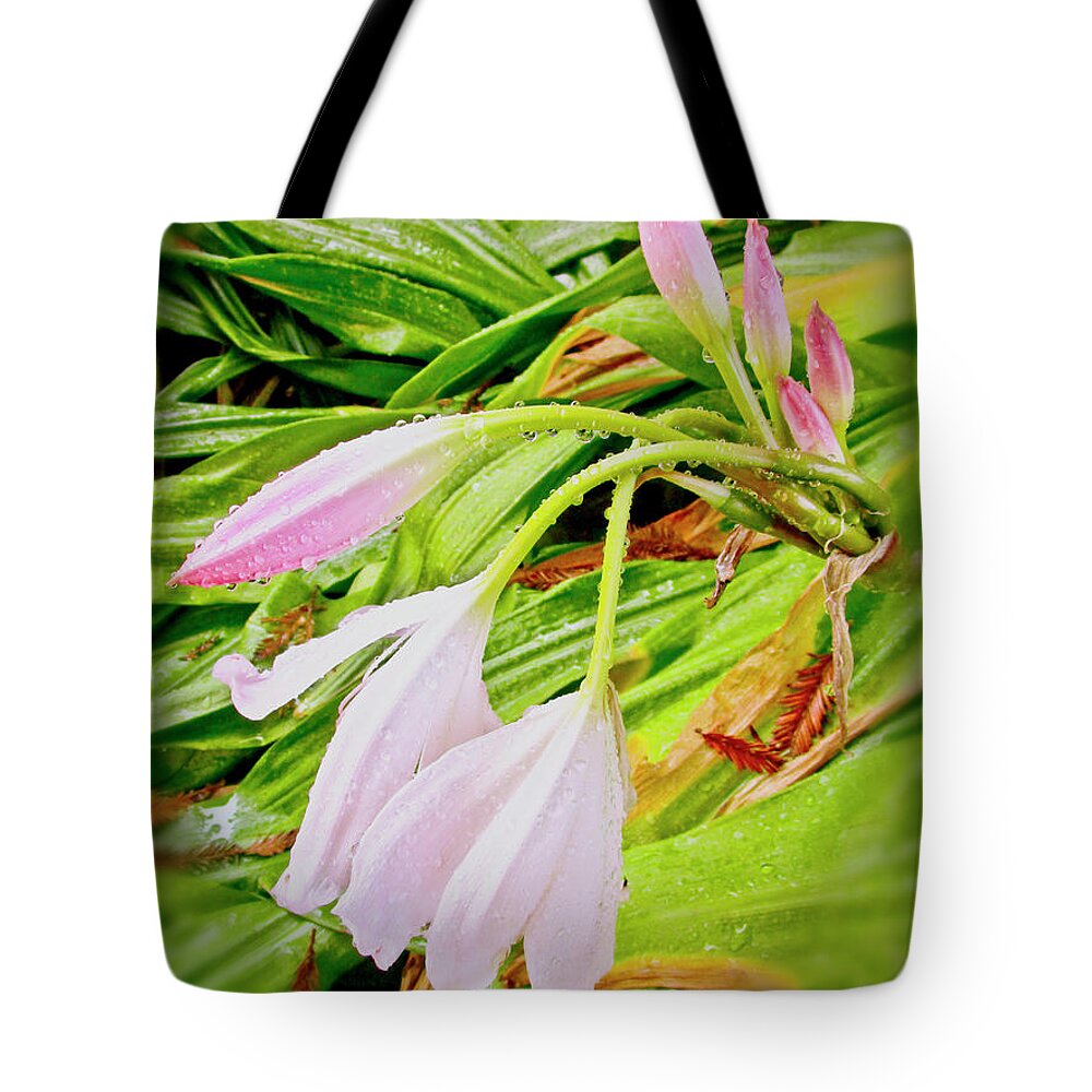 Lily Tote Bag featuring the photograph Lilies After A Rain by Joyce Dickens