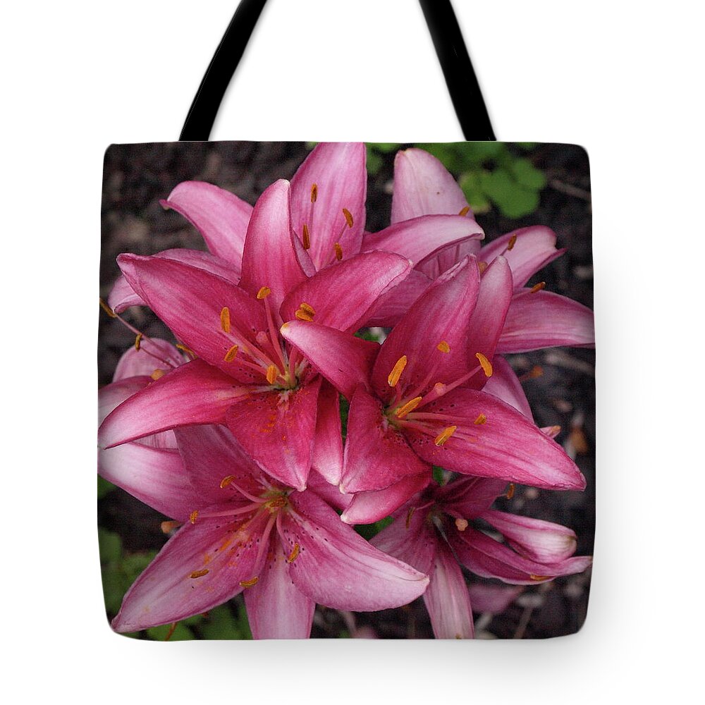 Lily Tote Bag featuring the photograph Lilixplosion 6 by Jeffrey Peterson