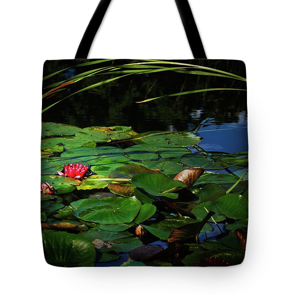 Flower Tote Bag featuring the photograph Lily Arch by John Christopher