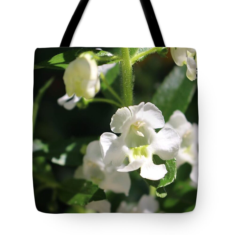 Lily Of The Valley Tote Bag featuring the photograph Lily of the Valley, Cape May by Christopher Lotito