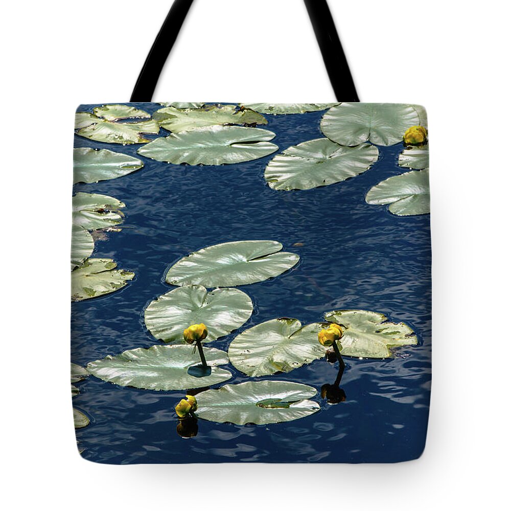Lily Pond At Tiny Marsh Tote Bag featuring the photograph Lily Pond at Tiny Marsh by James Canning