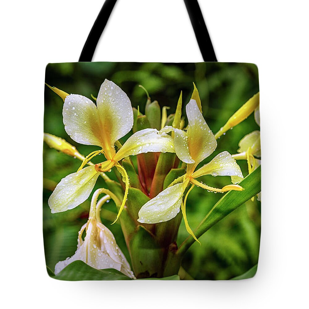 Estock Tote Bag featuring the digital art Lily, Yunque Nat'l Forest, Pr by Claudia Uripos
