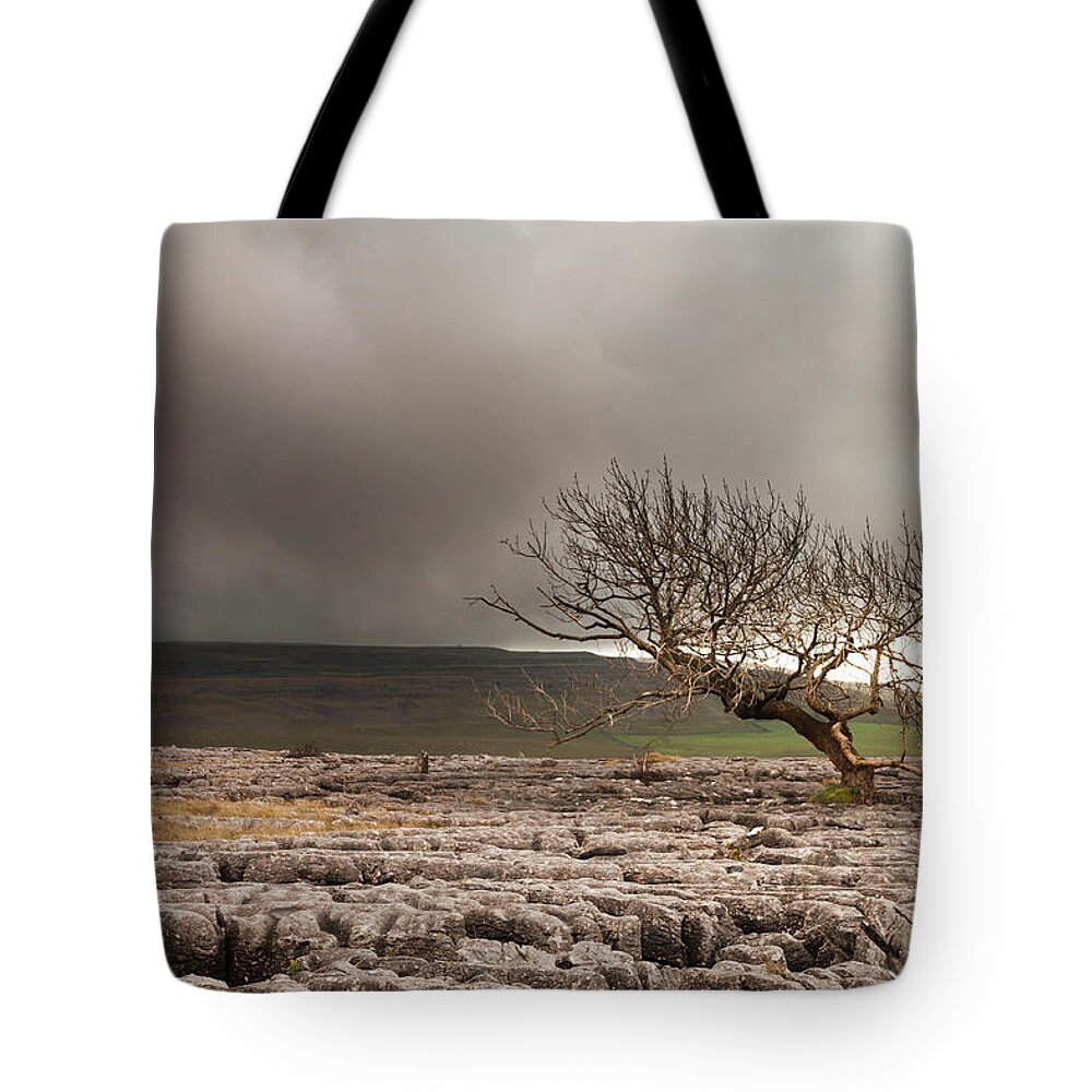 England Tote Bag featuring the photograph Limestone Pavement by Michael Honor