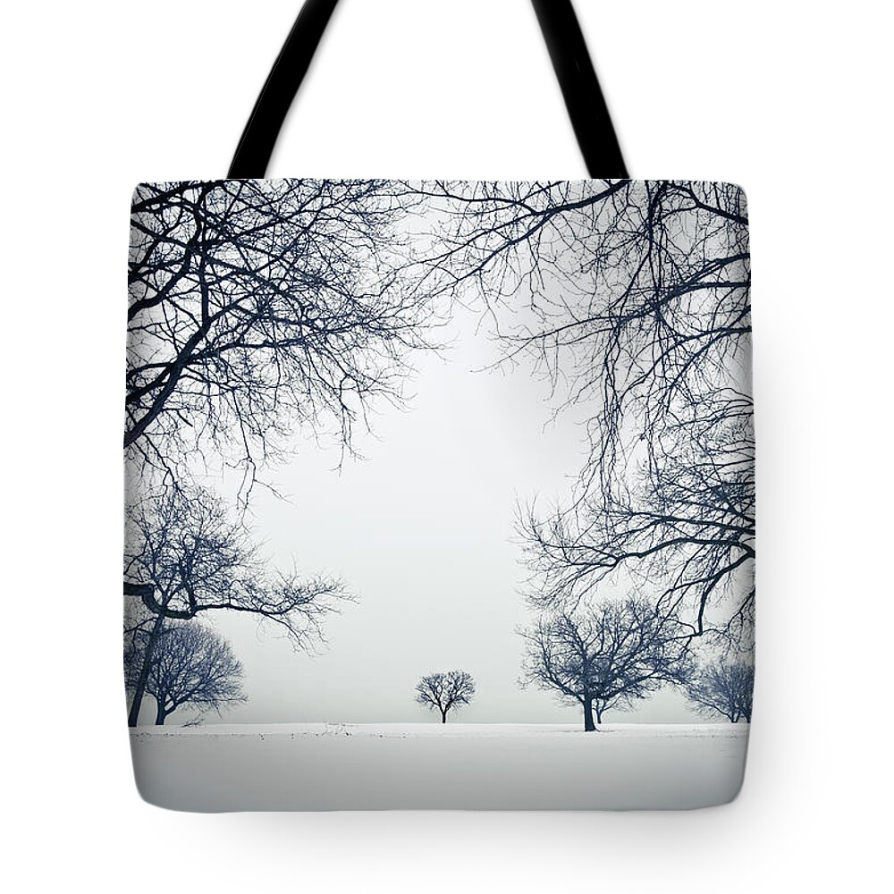 Snow Tote Bag featuring the photograph Lincoln Park Under Snow In Chicago by Yves Andre
