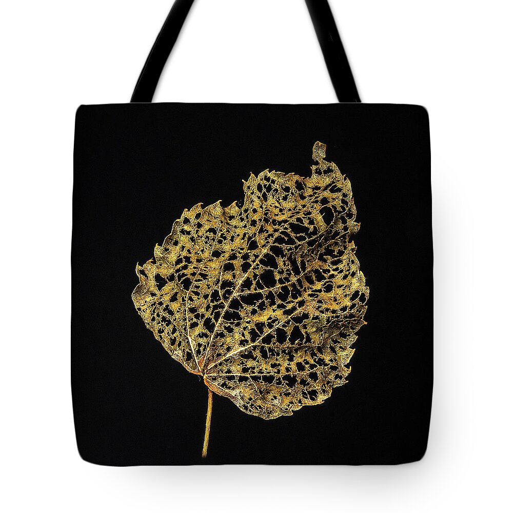 Leaf Tote Bag featuring the photograph Linden Leaf Two by Ira Marcus