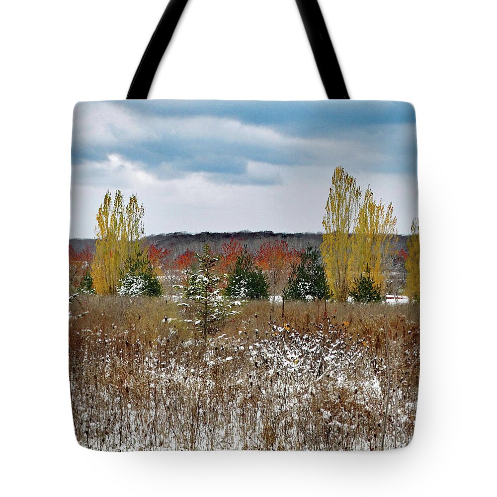 Fall Colors Tote Bag featuring the photograph Lingering Fall Colors by David T Wilkinson
