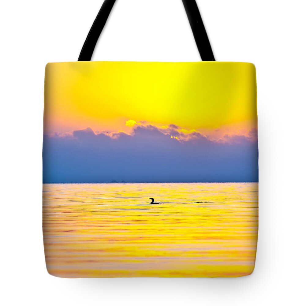 Sunsets Tote Bag featuring the photograph Cormorant at Dawn by Edgar Estrada