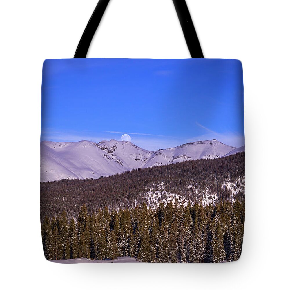 Moon Tote Bag featuring the photograph Little Luna by Jen Manganello