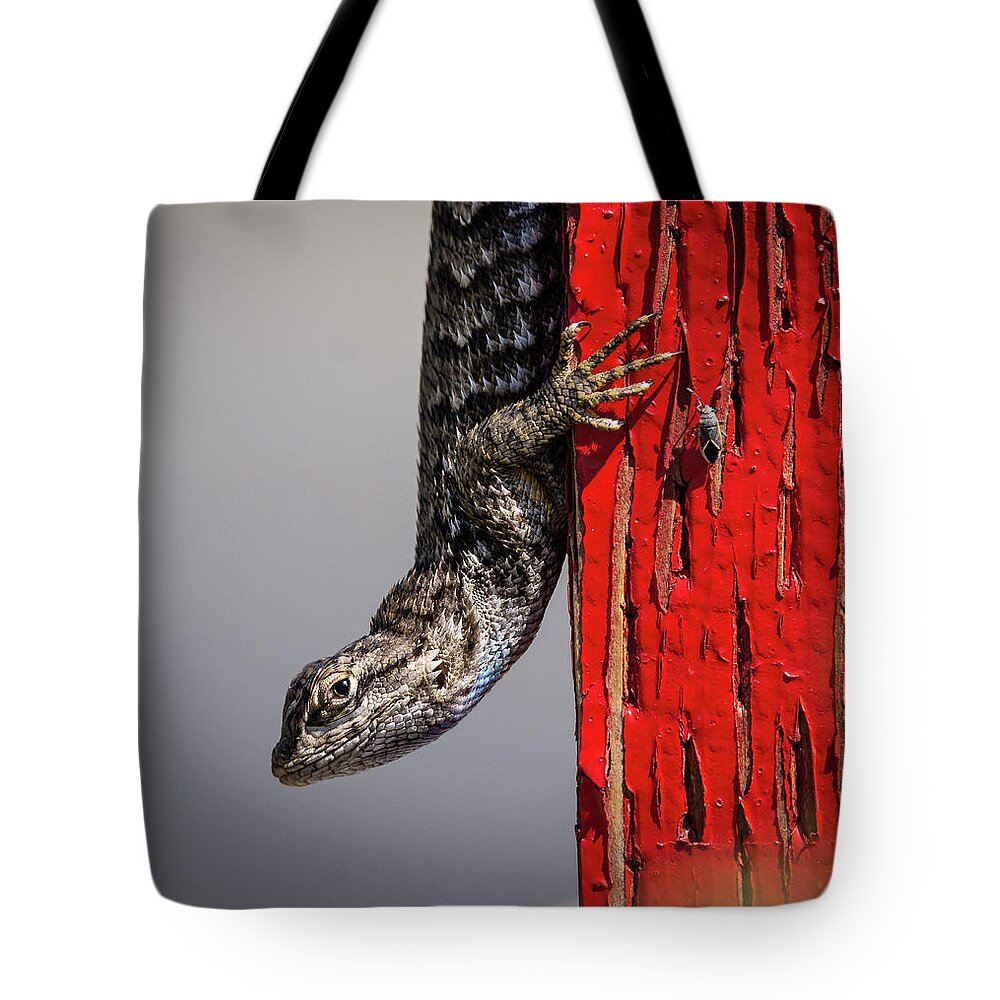 Lizard Tote Bag featuring the photograph Lizard on Red by Rick Mosher