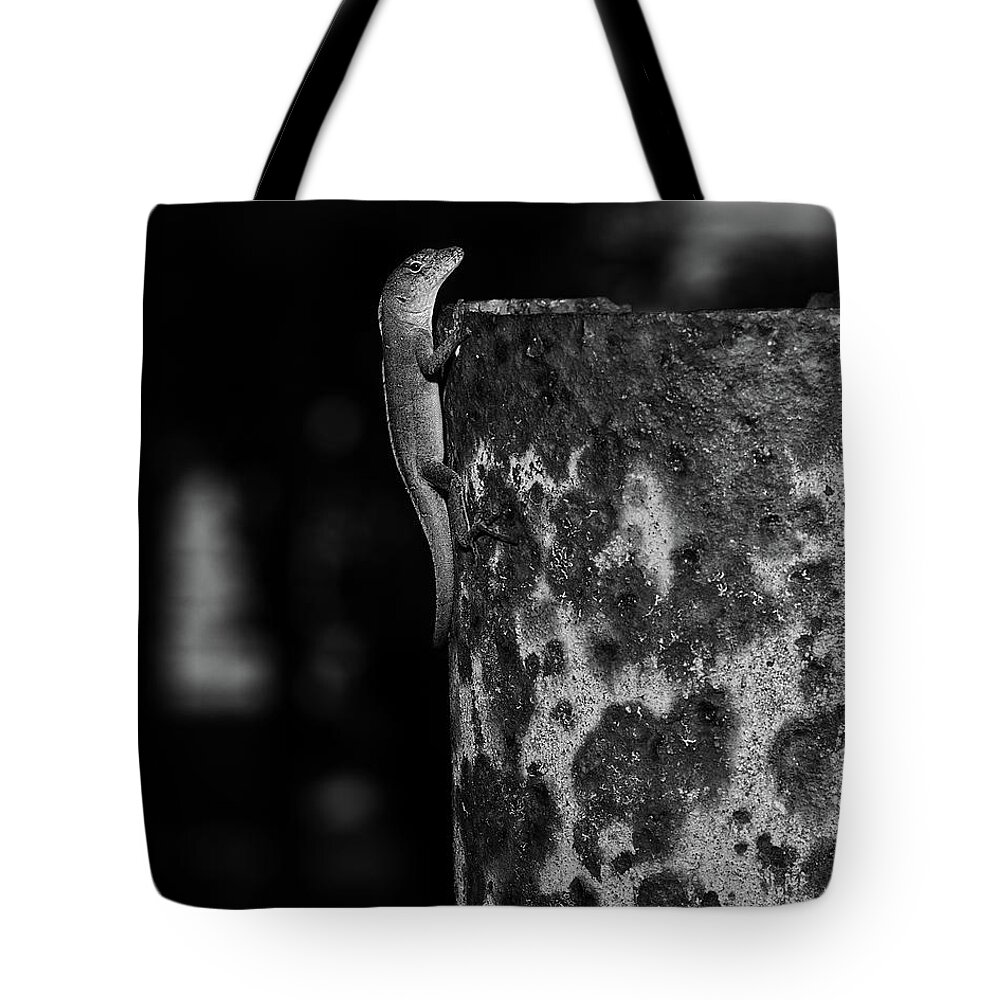 Anole Tote Bag featuring the photograph Lizzy by Richard Rizzo