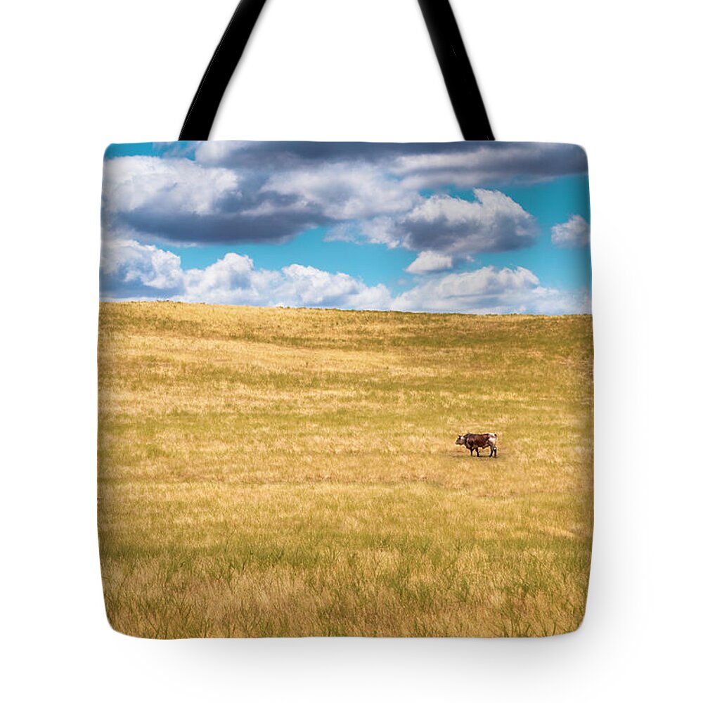 Cow Tote Bag featuring the photograph Lone Cow by Emmgunn