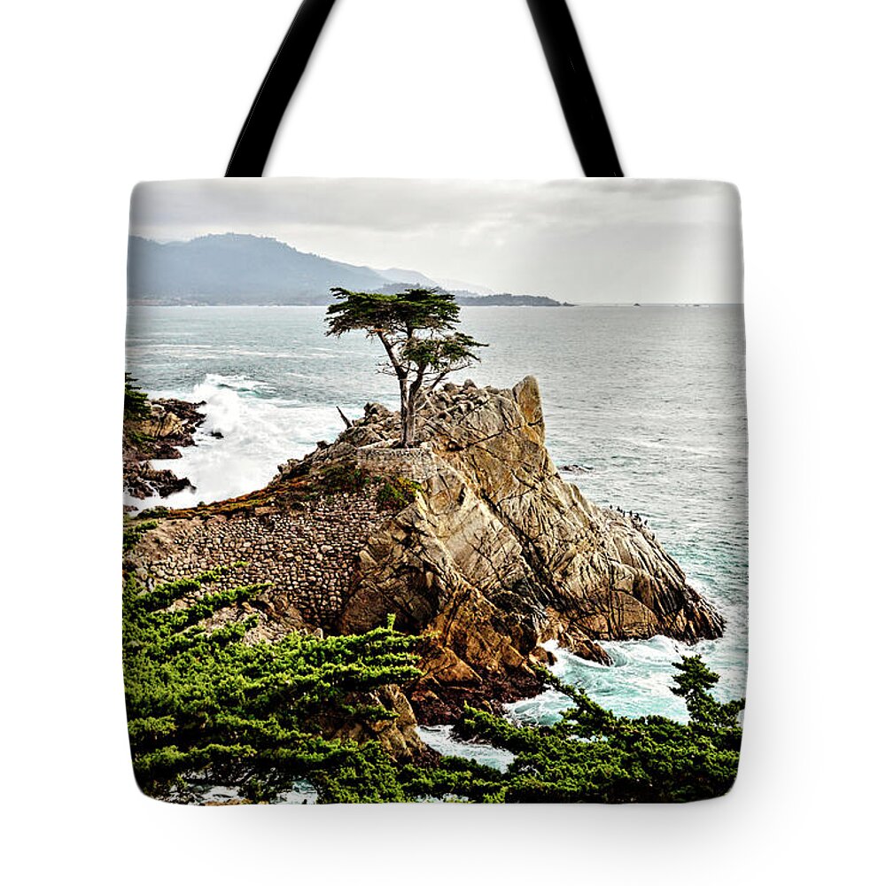 Lone Cypress Tote Bag featuring the photograph Lone Cypress by Barbara Snyder