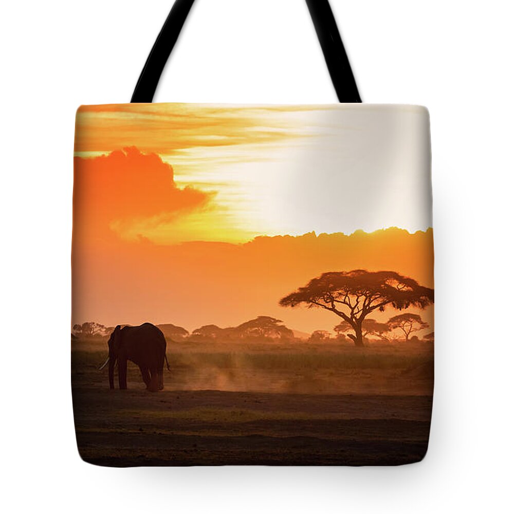 Sunset Tote Bag featuring the photograph Lone elephant walking through Amboseli at sunset by Jane Rix