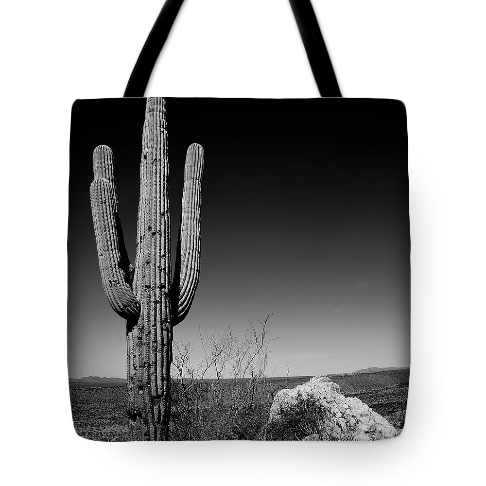 Lone Tote Bag featuring the photograph Lone Saguaro Square by Chad Dutson