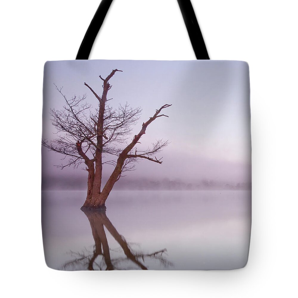 Landscape Tote Bag featuring the photograph Lone tree in still lake in the mist at sunrise by Anita Nicholson