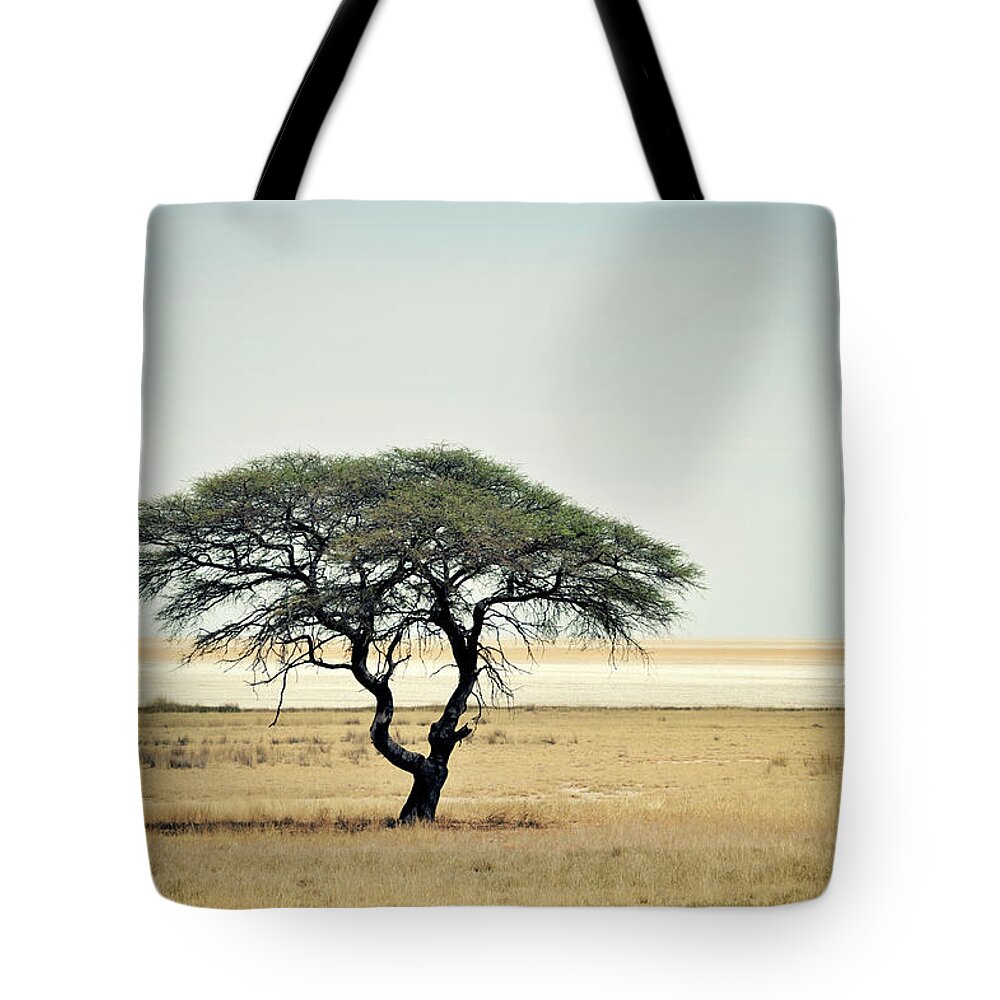 Grass Tote Bag featuring the photograph Lonely Acacia Tree In Etosha National by Brytta