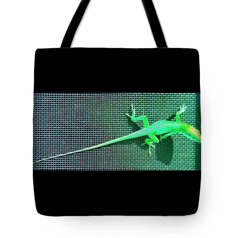 Lizard Tote Bag featuring the photograph Long Tail Lizard by Debra Grace Addison