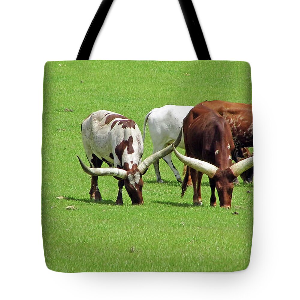 Ankole Tote Bag featuring the photograph Longhorn Cattle by D Hackett