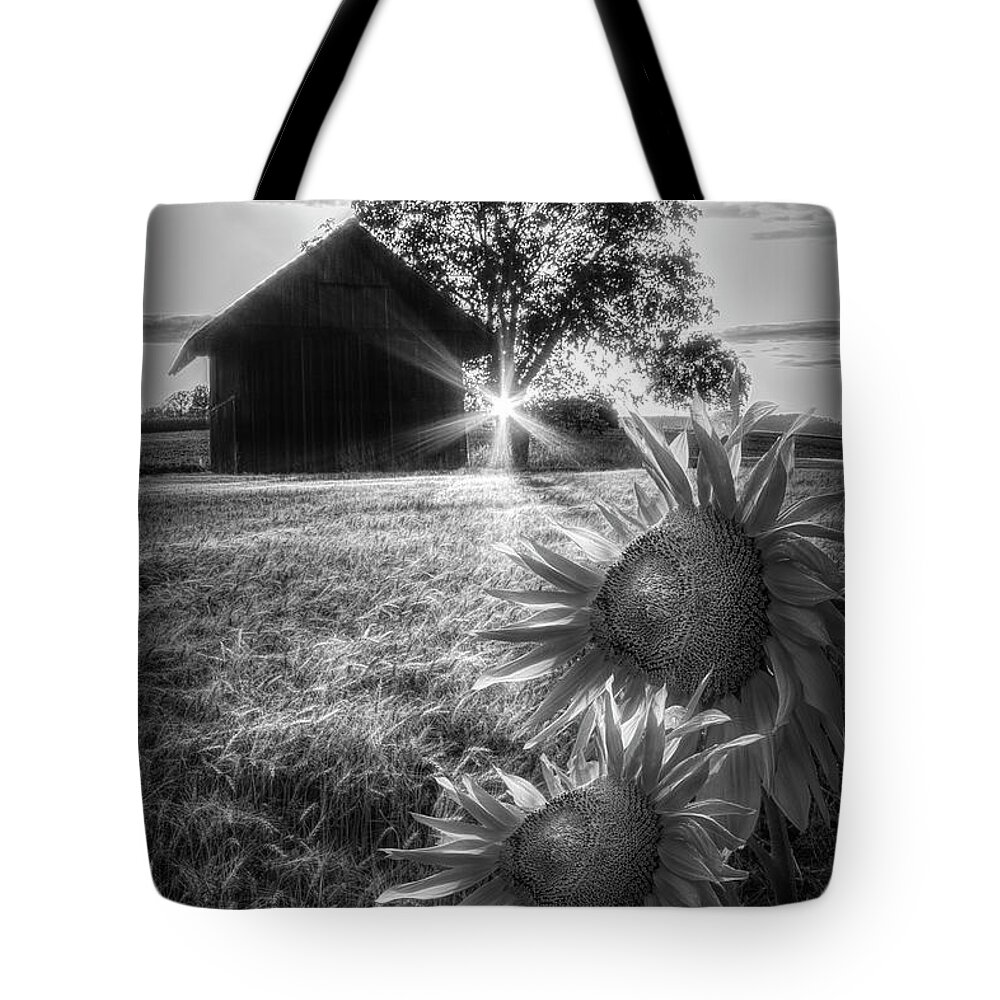 Barns Tote Bag featuring the photograph Longing in Black and White by Debra and Dave Vanderlaan