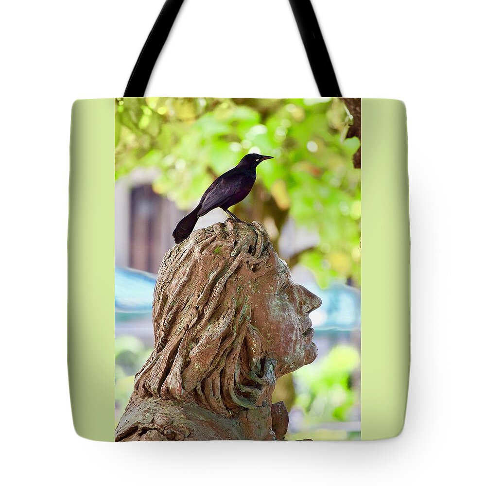 Photograph Tote Bag featuring the photograph Look by Debra Grace Addison