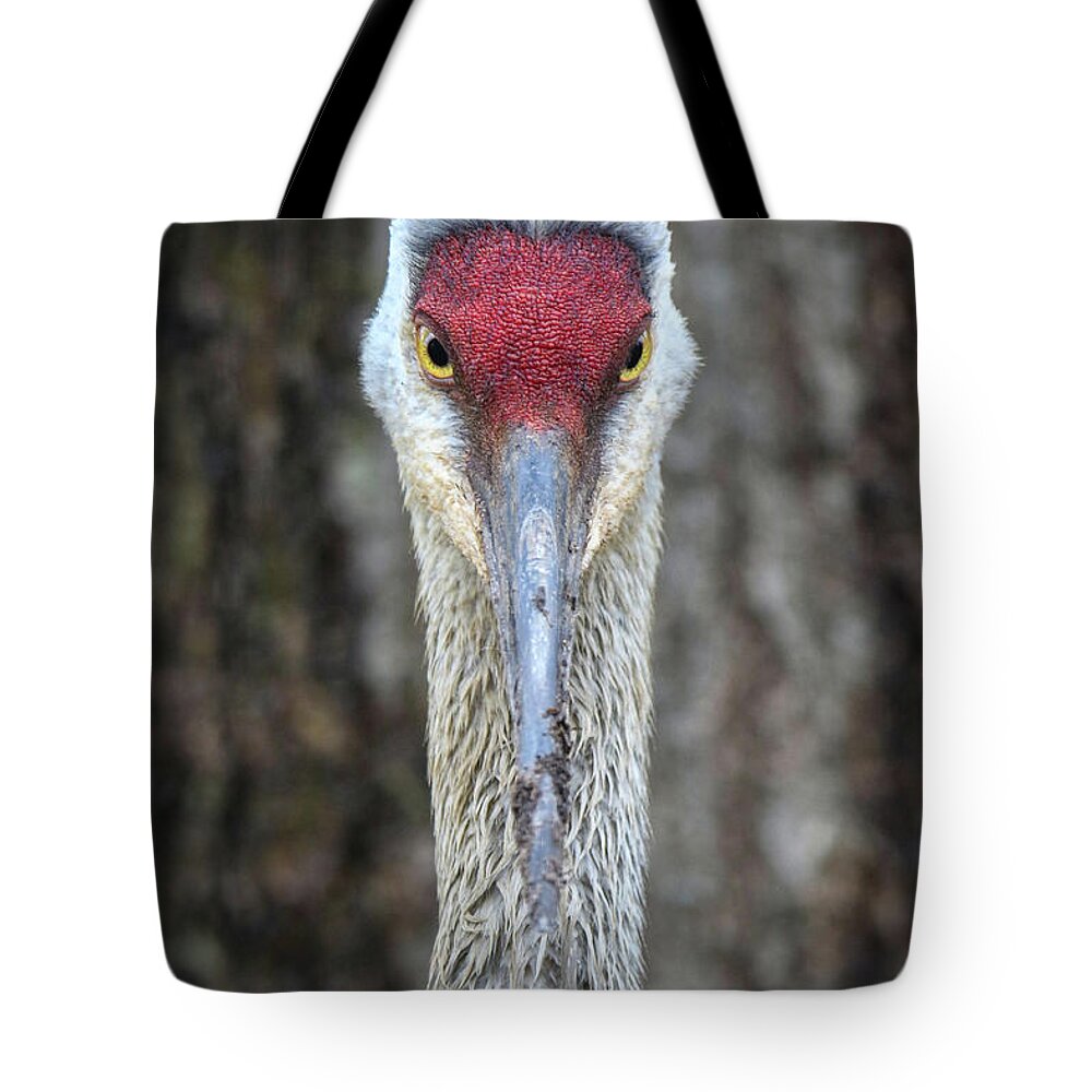 Sanhill Tote Bag featuring the photograph Look Into My Eyes by Brook Burling