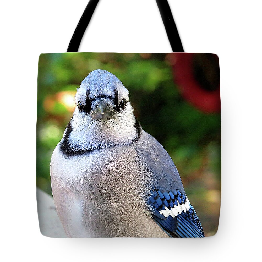 Blue Jay Tote Bag featuring the photograph Look Into My Eyes...You Are Getting Sleepy... by Linda Stern
