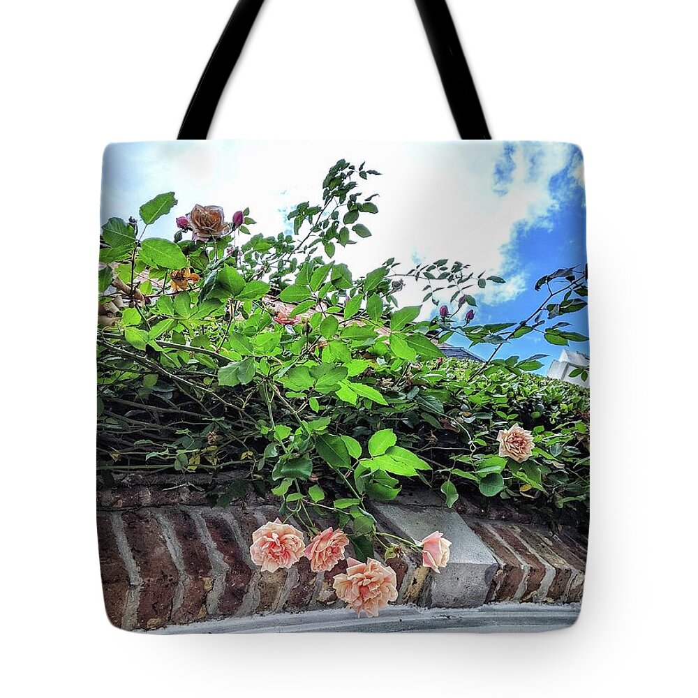 Peach Flowers Tote Bag featuring the photograph Look Up by Portia Olaughlin