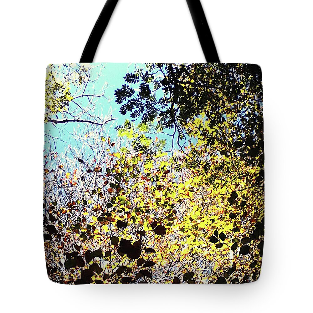Bright Tote Bag featuring the photograph Look Up by Rebecca Harman
