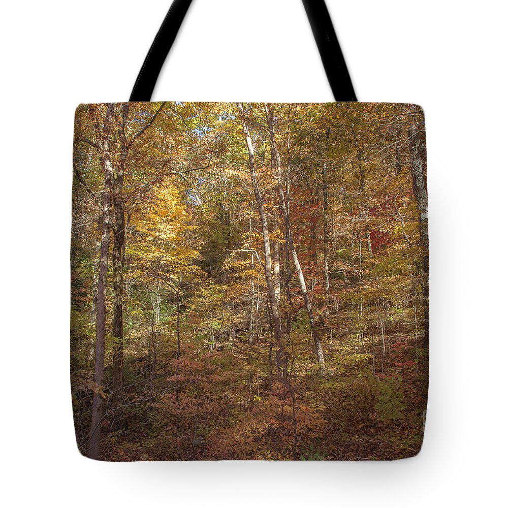 Fall Tote Bag featuring the photograph Looking Into The Season by Mike Eingle