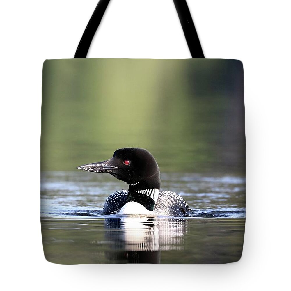 Common Loon Tote Bag featuring the photograph Loon and Shimmering Reflections by Sandra Huston