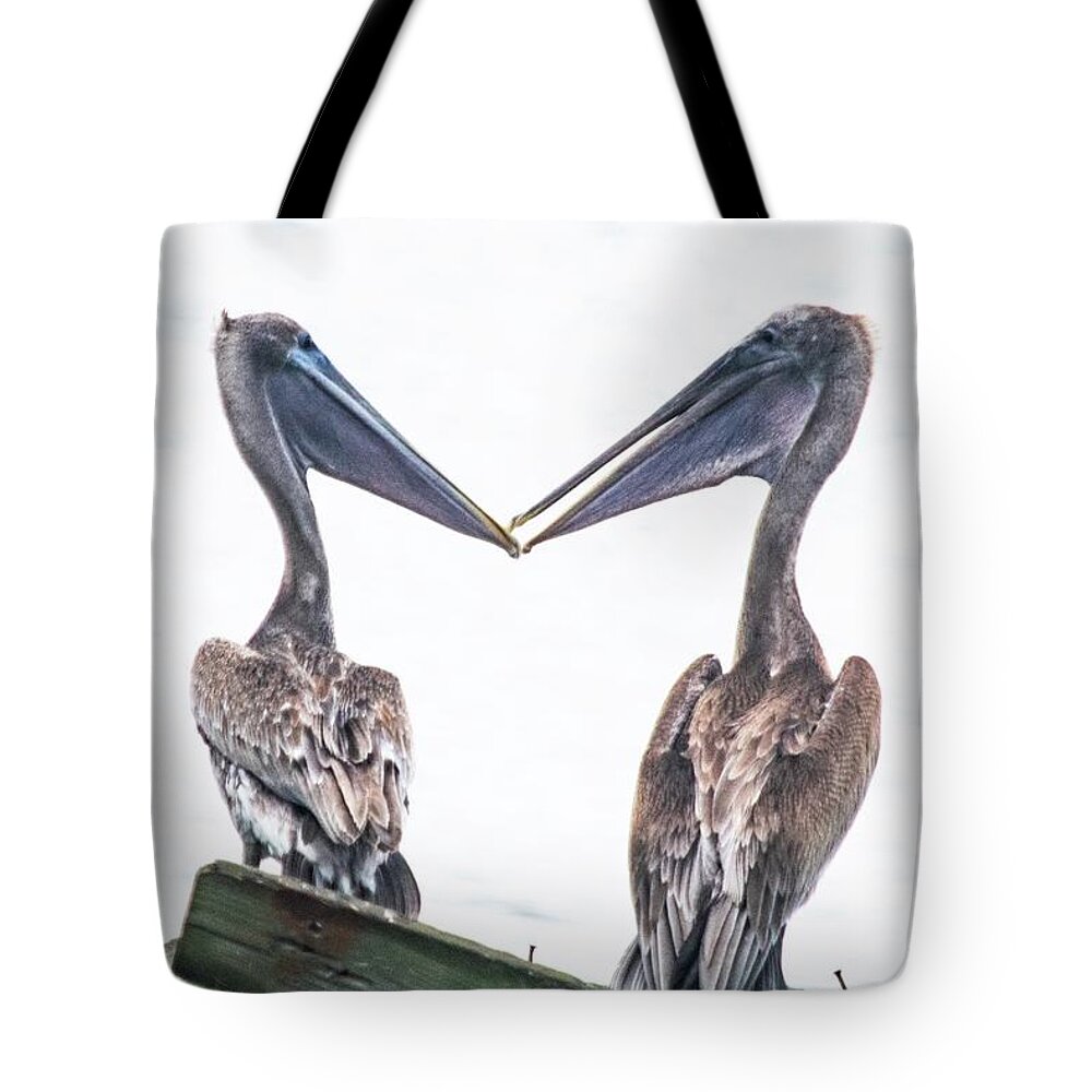 Two Brown Pelicans Tote Bag featuring the photograph Love Birds by Mary Ann Artz