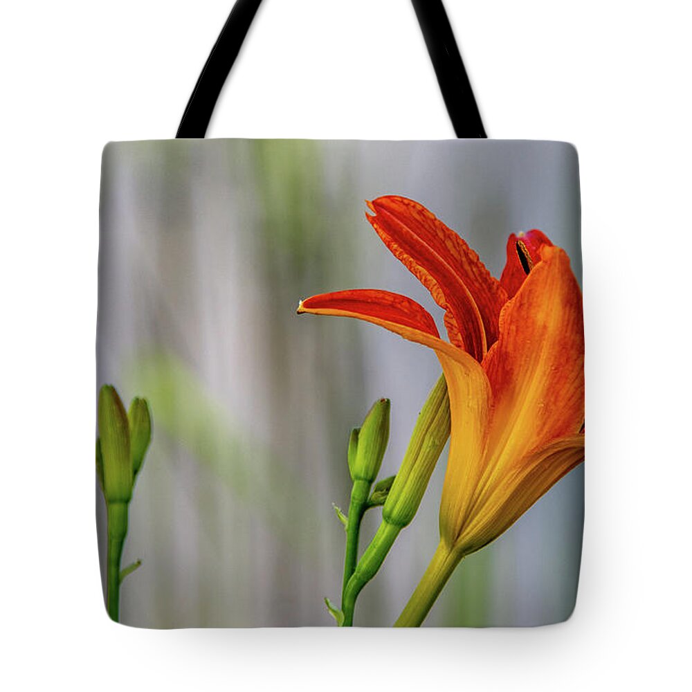 Tiger Lily Tote Bag featuring the photograph Lovely Lily by Marcy Wielfaert