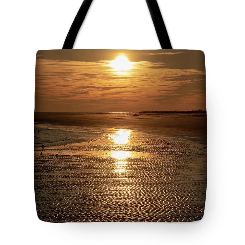 Birds Feeding Tote Bag featuring the photograph Low Tide Sunrise at Port Royal Sound by Dennis Schmidt