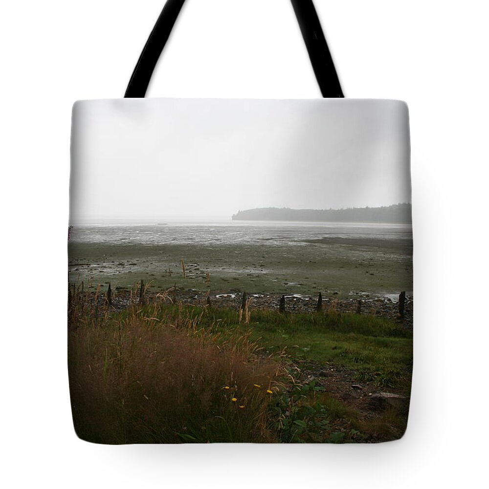 Low Tide Willapa Tote Bag featuring the photograph Low Tide Willapa by Dylan Punke