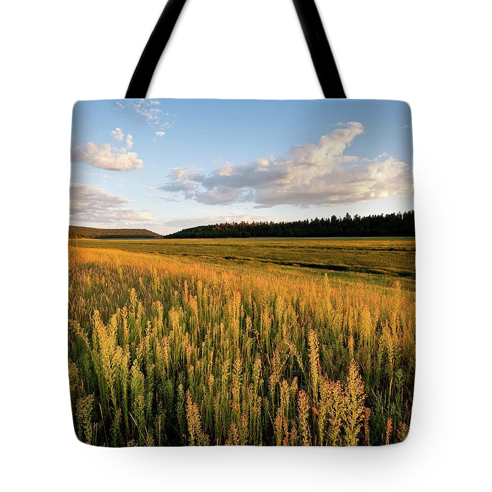 Arizona Tote Bag featuring the photograph Lower Lake Mary at Sunset by Jeff Goulden