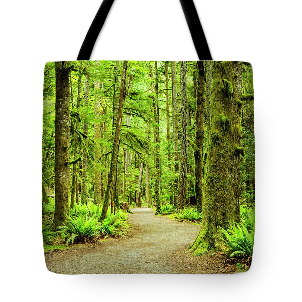 Tranquility Tote Bag featuring the photograph Lush Green Rain Forest by Jordan Siemens